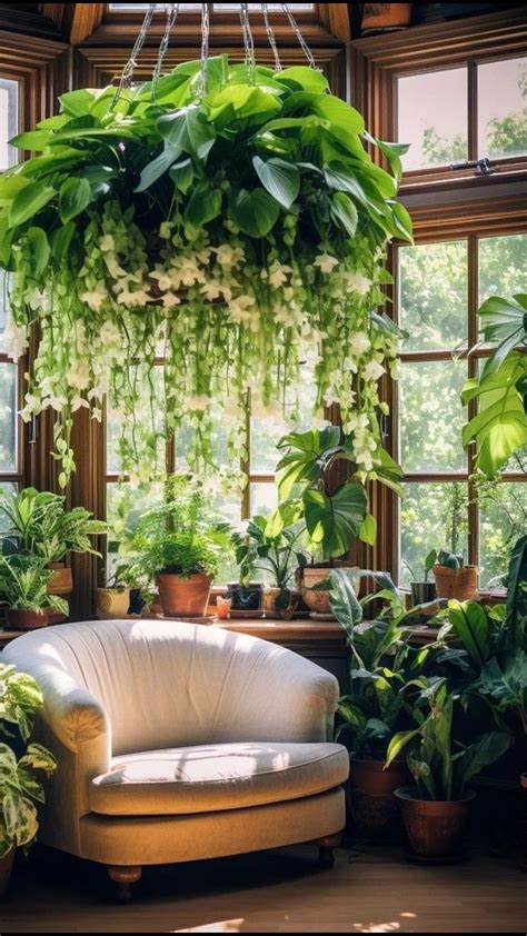 Pin by Аnna on Fentezi | Room with plants, House plants decor, House ...