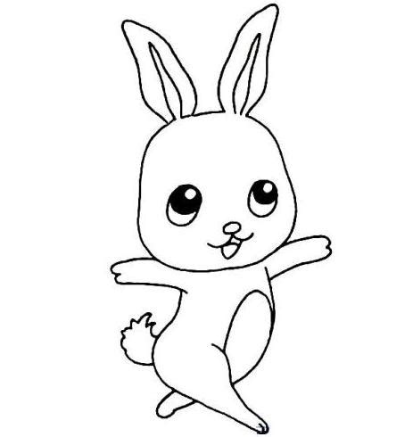 可爱的小兔子简笔画大全图片 可爱的小兔子简笔画怎么画_亲亲宝贝网