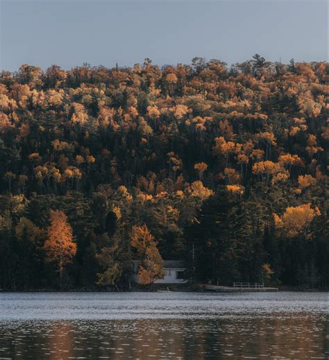 Unique Michigan Vacation Rentals To Book For a Beautiful Fall Getaway | Alia Rose Writes