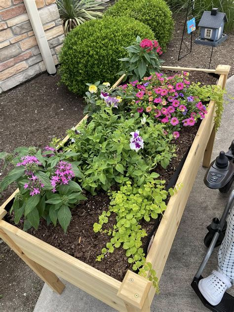 blog | Falcon Ridge Rehabilitation