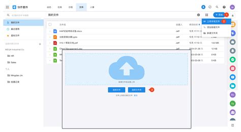 Open HipFile 的图像结果