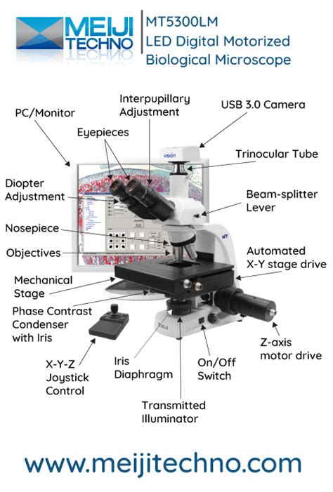 Microscope Terminology 的图像结果
