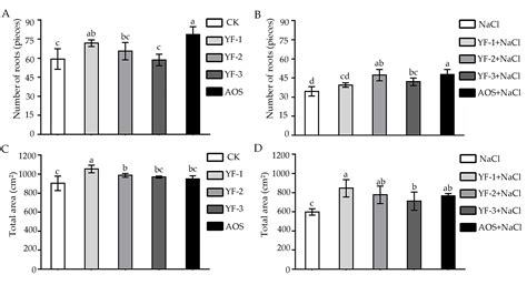 A Trichoderma hamatum Biostimulant Modulates Physiology and Gene ...