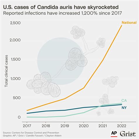 In the US, a hotter climate is helping a fungal disease spread fast | Grist