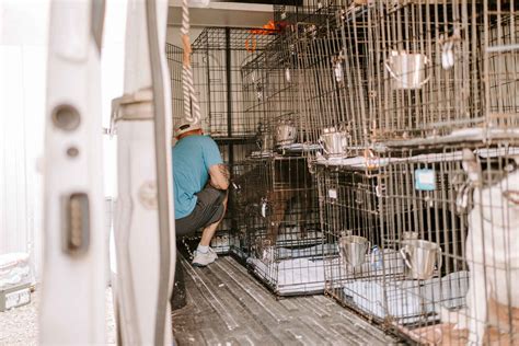 RESCUED PETS MOVEMENT INC - Crates for Rescue Dog Transports