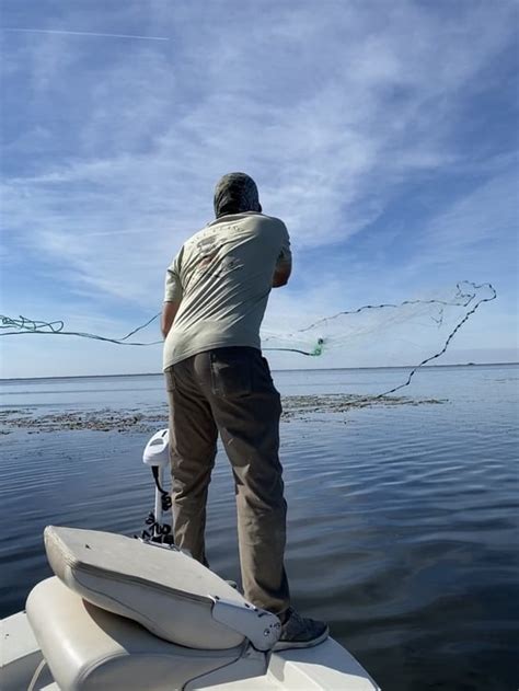 Image result for Catching Shiners with a Cast Net