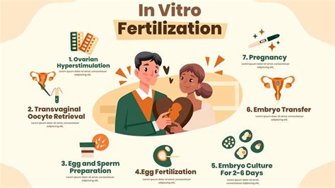 IVF Procedure Explained 的图像结果