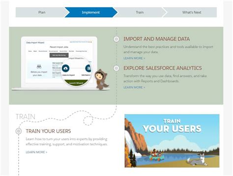 Image result for Salesforce Basic Tutorial