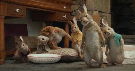 《彼得兔》這麼經典的故事，只帶孩子看電影太可惜了 - 每日頭條