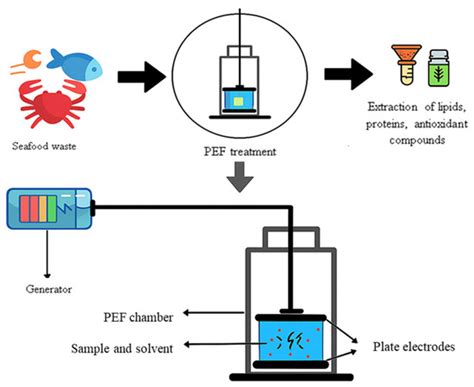 Enhancing Product Value and Energy Efficiency in Seafood By-Product ...