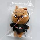 Official STRAY KIDS SKZOO Mini Plush - The Victory India | Ubuy