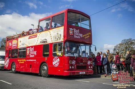 Red Viking Tour (Limerick) - 2021 What to Know Before You Go (with ...