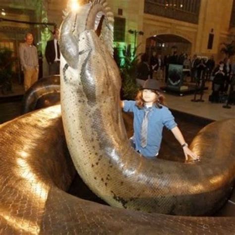 Worlds Biggest Snake