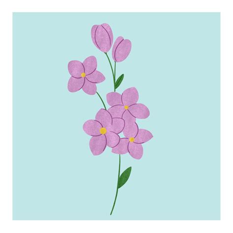 Mono-floral Honey Combo - Honey and Spice