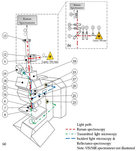 Design of a Multimodal Imaging System and Its First Application to ...