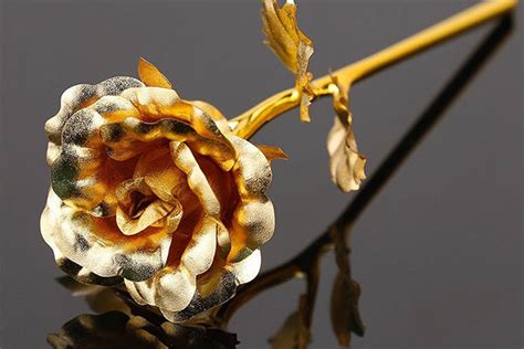 Gold Plated Rose Sale Factory, Save 70% | jlcatj.gob.mx