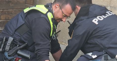 Polizei Sulzbach-Rosenberg wildert Rehbock aus | charivari