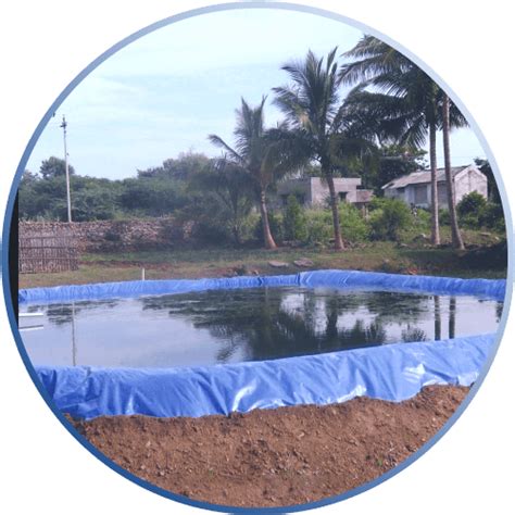 Pond Linears