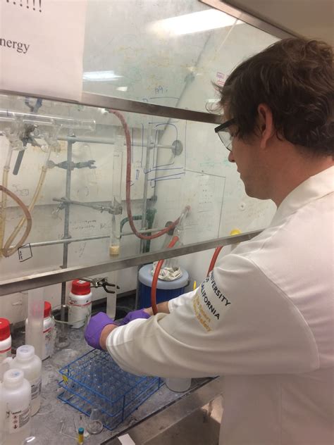 David Lab 的图像结果