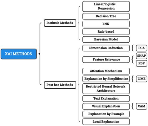 Applications of Explainable Artificial Intelligence in Diagnosis and ...