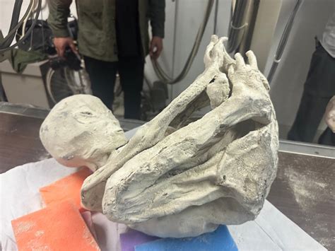 Image result for Alien Entdeckt 2020