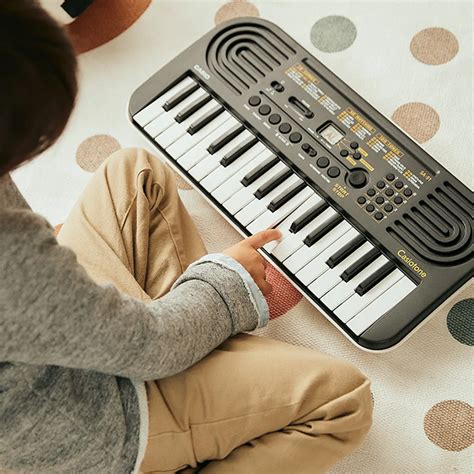 Rezultat imagine pentru Casio Keyboard SA Models