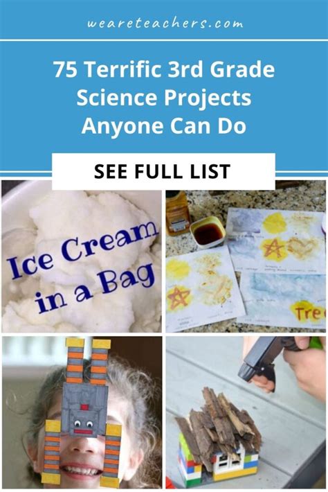Third Grade Science Projects 的图像结果