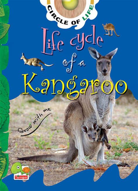 Life cycle of a kangaroo | Goyalpublishers