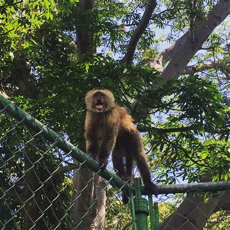 HOTEL VENETUR ORINOCO (Ciudad Guayana) - Hotel Reviews & Photos ...