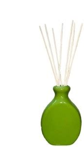 ZAMFONY Aromatherapy Diffuser Ceramic Bottle Plus 10 Reed Sticks for ...