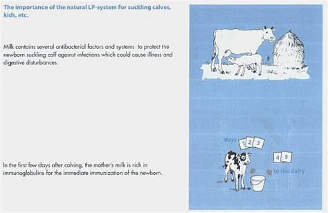 Image result for Operating System System Lactur