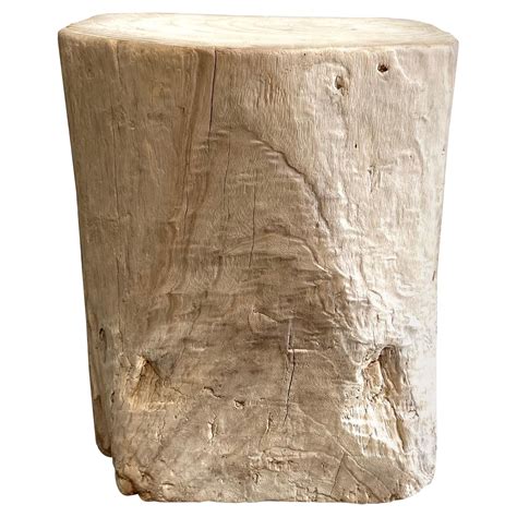 Natural Wood Stump Side Table or Stool For Sale at 1stDibs