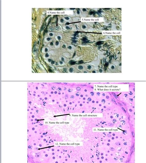 Cell Structure with Name Sign 的图像结果