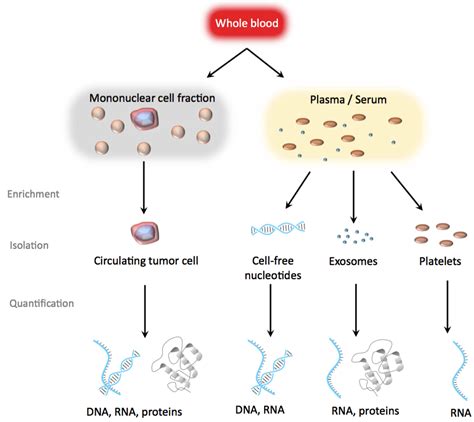 Process Body 的图像结果