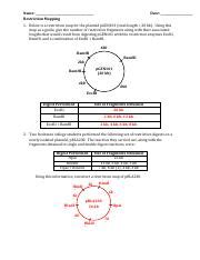 Image result for Plasmid Mapping Practice Problems
