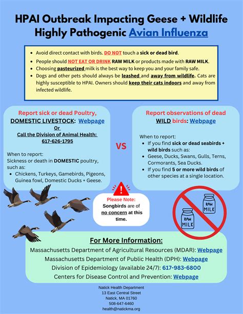 Avian Influenza | Natick, MA - Official Website