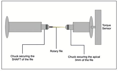 Cyclic Fatigue, Torsional Resistance, and Angular Deflection of Two ...