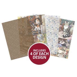 Image result for Fect Cache