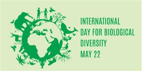 Image result for Biological Classification Question Rashmita Sing