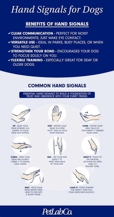 Akc Printable Dog Training Hand Signals Chart Pdf - [Vet Explains Pets]