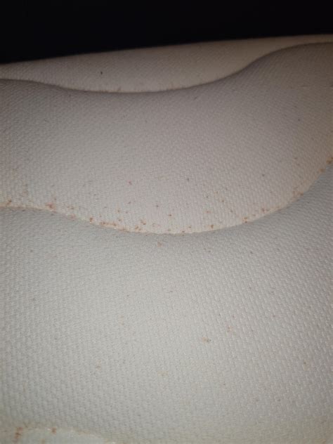 Bed bug stains? : r/Bedbugs