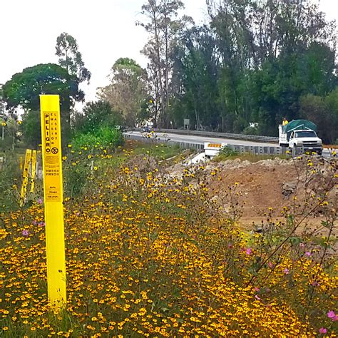 PP21A - ICOPTIKS - Poste plano de señalización de 200 x 10 cm amarillo ...