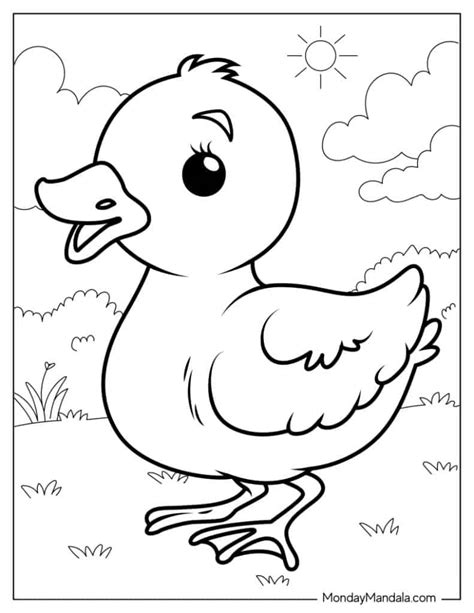 28 Cute Duck Coloring Pages (Free PDF Printables)