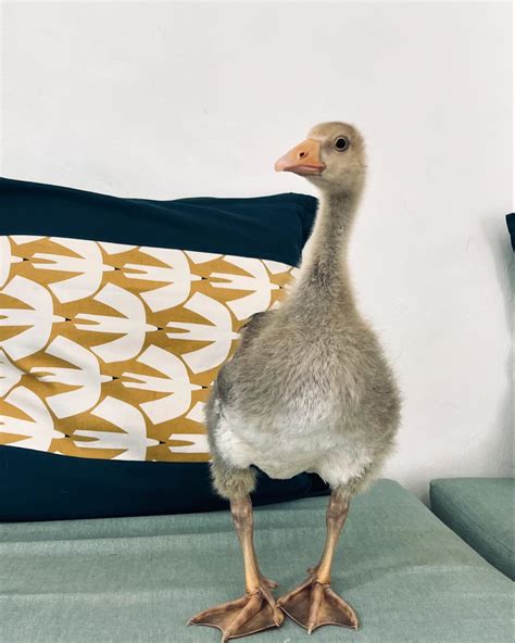 Hermitage Veterinary Clinic (@hermitagevetclinic) • Instagram photos ...