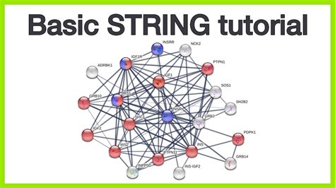 STRING Database Tutorial 的图像结果