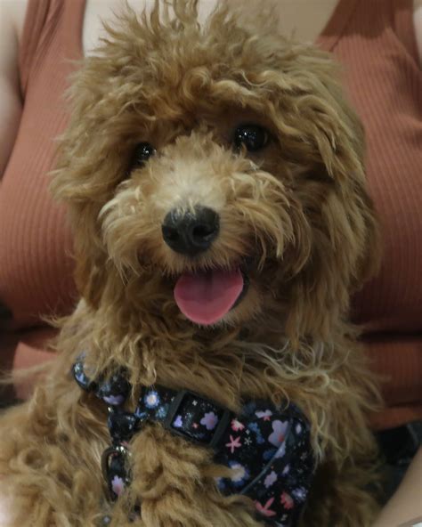 Margot Celeste Leaks