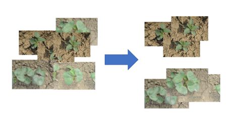 Image result for Supervised Contrastive Learning