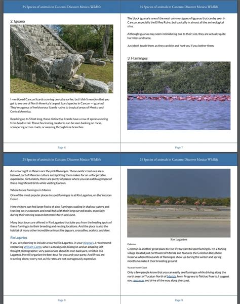 25 Species of animals in Cancun: Discover Mexico Wildlife
