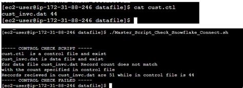 Image result for Snowsql Batch File Example