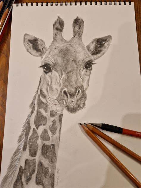Easy Giraffe Drawings How to draw a giraffe